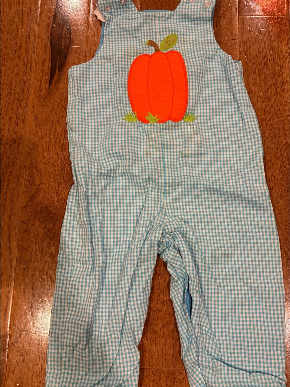The Bailey Boys Reversible Blue Longall 18 Months Pumpkin and Monkey Appliqué